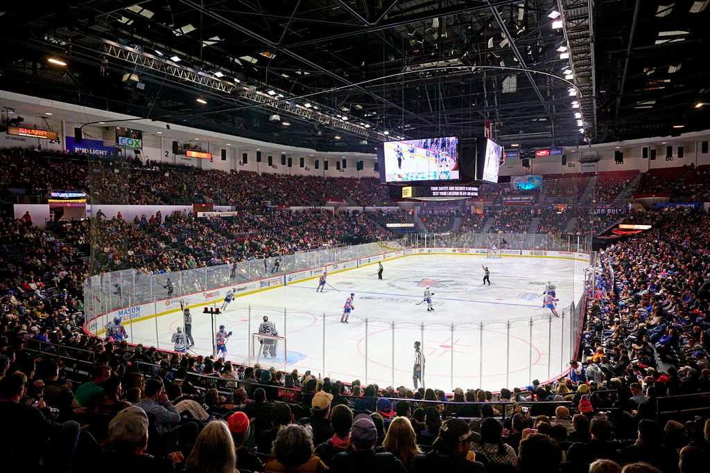 Rule the Ice with Gulls